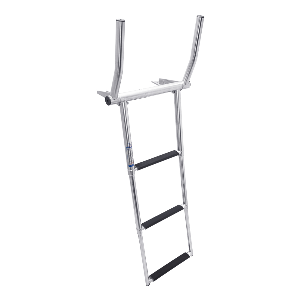 Stainless Steel Telescoping Over Platform Ladder with Fold Out Grab ...